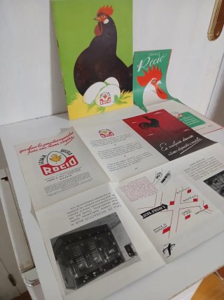 Lote Publicitario Granja Rocío Gallinas Huevos
