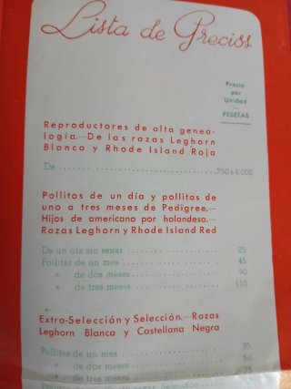 Lote Publicitario Granja Rocío Gallinas Huevos