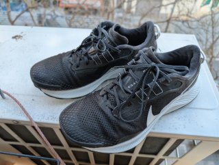 Zapatillas Nike Pegasus Trail 3