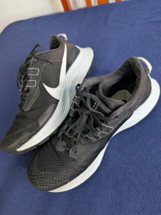 Zapatillas Nike Pegasus Trail 3