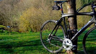 ORBEA ORCA 2010 T55