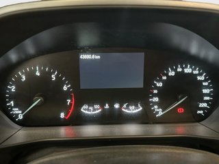 Focus - DESDE 267€/MES ¡SIN ENTRADA!
