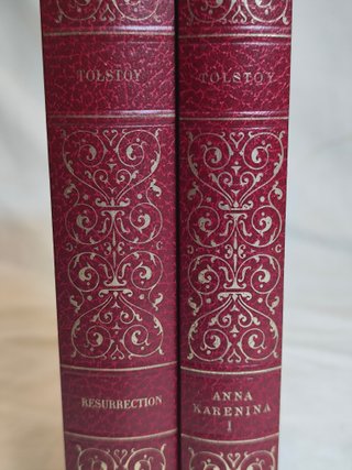 Colección Clásicos Rusos en Inglés – 10 Tomos