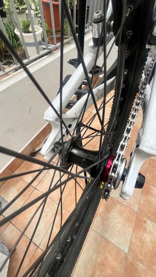 Bmx Race SUNN ROYAL FINEST 2025 Pro XL