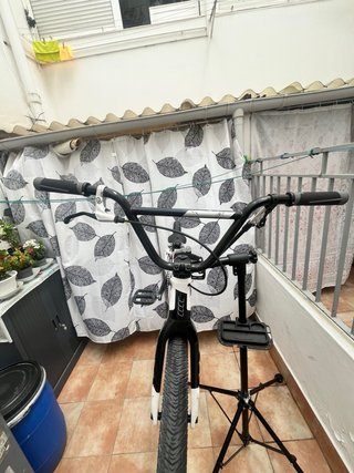 Bmx Race SUNN ROYAL FINEST 2025 Pro XL