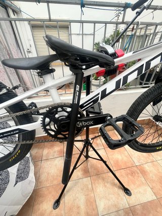 Bmx Race SUNN ROYAL FINEST 2025 Pro XL