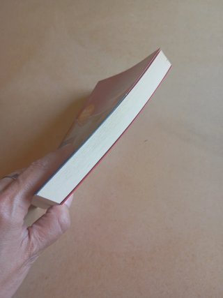 Tirant lo Blanc. Episodis amorosos: Inclou recu...