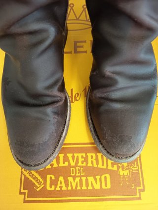 Botas camperas Valverde del Camino Talla 39