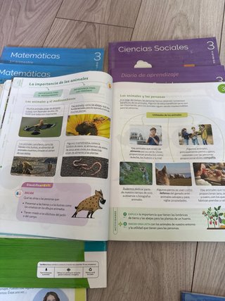 Libros de texto 3 primaria Santillana