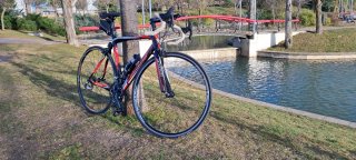 Bicicleta Mendiz caimán Carretera Full Carbono tal