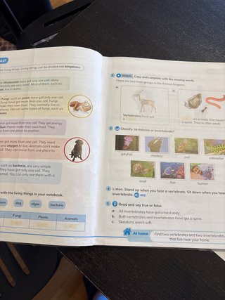 CLIL World Natural Sciences 3. Class Book (Cast...