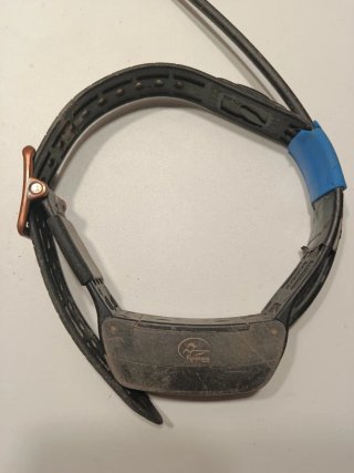 Collar GPS Sportdog Tek con mando