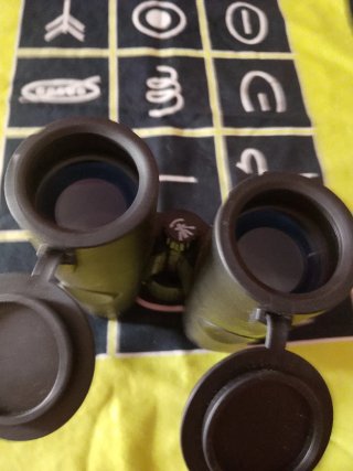 Prismáticos