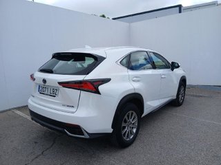 Lexus NX 300h Business Navigation 2WD 145 kW (197 CV)