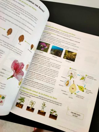 Biología y Geología. 1 Secundaria. Revuela. Cas...