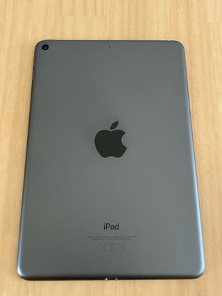 Apple iPad mini 5 64GB WiFi Gris Espacial