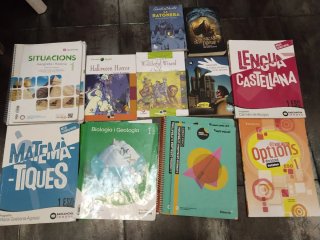Vendo todos los libros del ins Ernest Lluch.