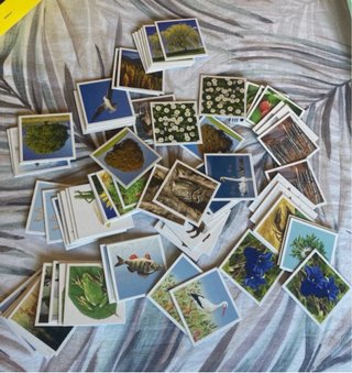 Juego Memory Ravensburger Naturaleza