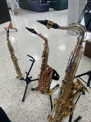Clases de saxofón para principiantes en sevilla