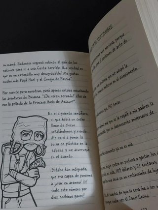 Libro Diario de Nikki