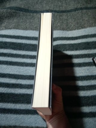 La escritura de los dioses Descifrando la piedr...