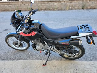 Honda Dominator 650