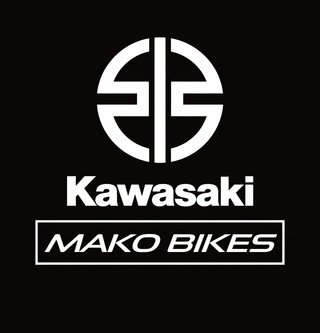 Kawasaki Eliminator 500