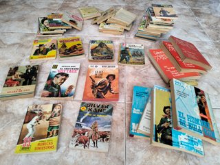 Lote de Novelas