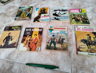 Lote de Novelas