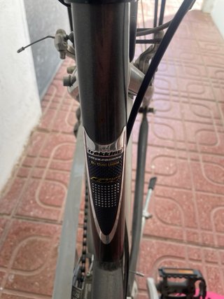 URGE Bicicleta BH WINDSOR