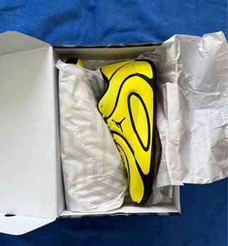 Air Jordan Tatum 4 Bruce Lee