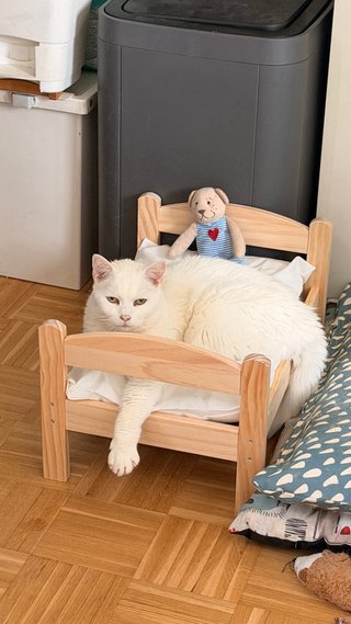 Cama para mascotas