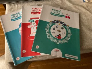 Lote de libros 4rt ESO SAFA HORTA