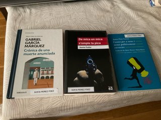 Lote de libros 4rt ESO SAFA HORTA