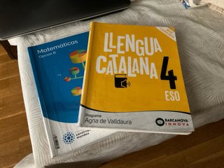Lote de libros 4rt ESO SAFA HORTA