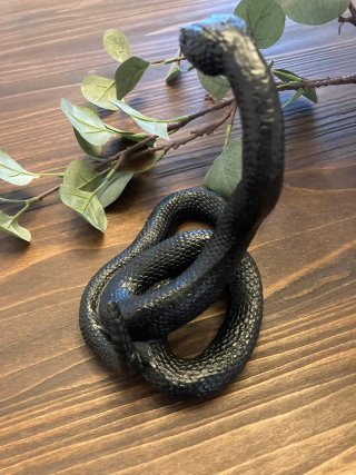 Statuetta Serpente Ardeco' Nero