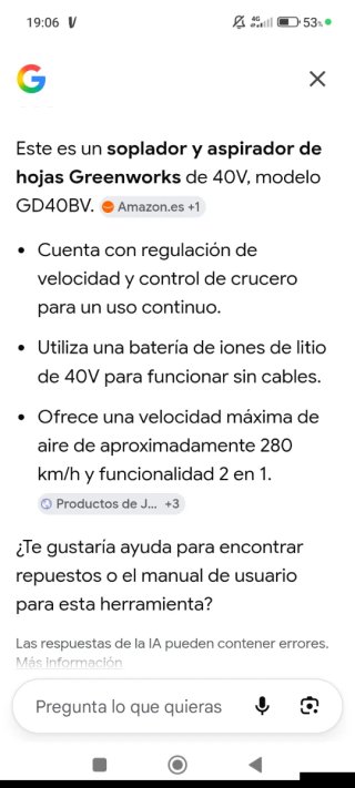 2 Sopladores de Hojas Verdes