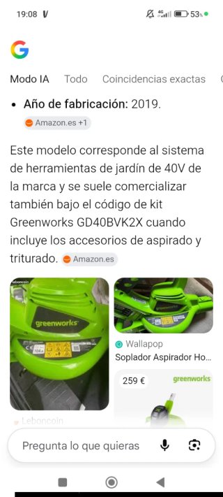 2 Sopladores de Hojas Verdes