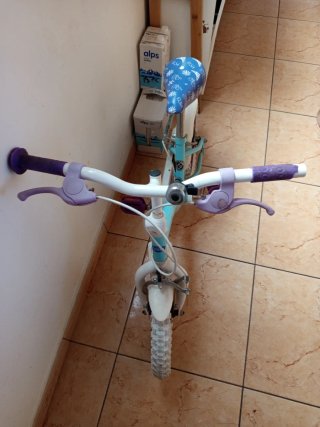 Bicicleta infantil Frozen ( 4a 5 años )