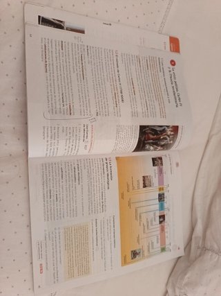 Geografía e Historia, 4 ESO, Aragón, Operación ...