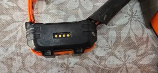 Garmin Alpha 100