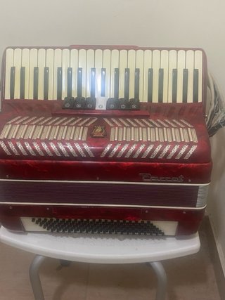 Acordeón Piano Parrot 120 Bajos