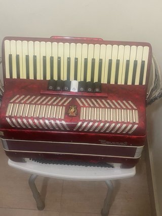 Acordeón Piano Parrot 120 Bajos