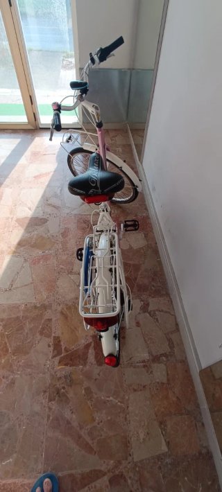 Bicicletta da donna Lazzaretti rosa.