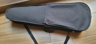 Violín 3/4 con funda y accesorios