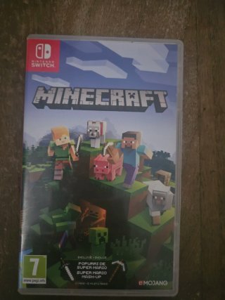 Minecraft Nintendo Switch