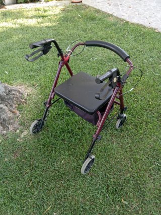 Carro anciano