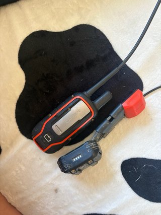 Garmin Alpha 100 + Collar TT5 Mini