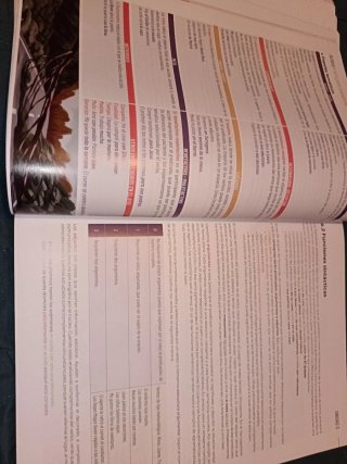 1º Y 2º BACHILLERATO DELFOS LENGUA CASTELLANA Y...