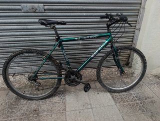 Bicicleta Esperia El Dorado